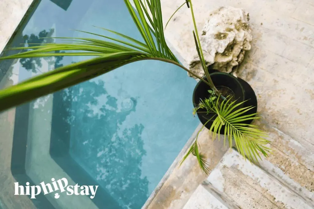 Hiphipstay - El Chapo Villa Tulum 0*,  Mexico