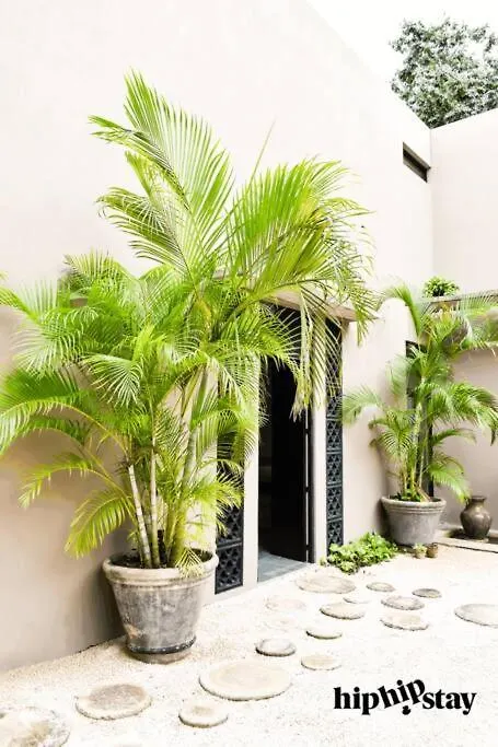 Hiphipstay - El Chapo Villa Tulum